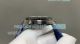 OVS Factory Swiss Copy Omega Seamaster Planet Ocean 600M ETNZ Deep Black Watch (5)_th.jpg